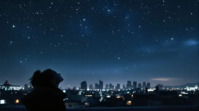 星辰大海 封面